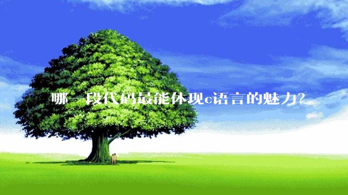 哪一段代码最能体现c语言的魅力?