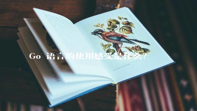 Go 语言的使用感受是什么？